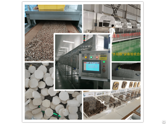 Soybean Dryer