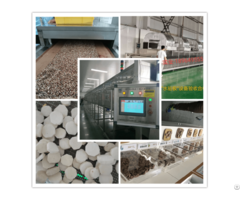 Soybean Dryer