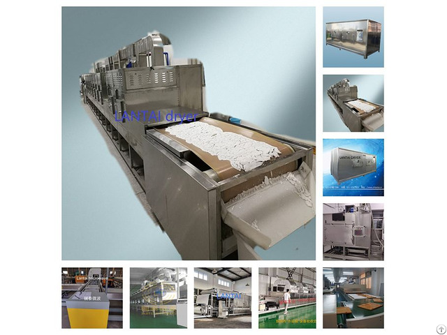 Food Low Temperature Dryer