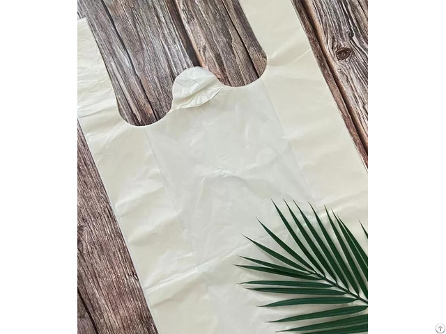 Biodegradable Plastic Bags Manufacturer