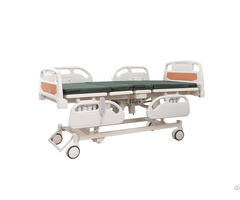 Economic Five Functions Electric Patient