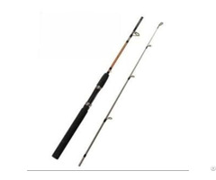 Spinning Deep Sea Boat Fishing Rod