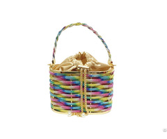 Woven Birdcage Evening Handbags Designer