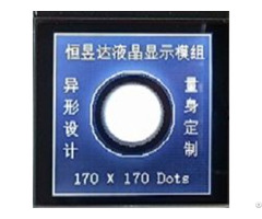 Customized Lcd