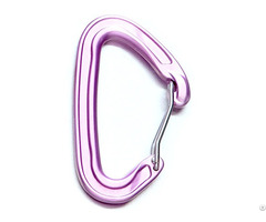 Ultra Light Wire Gate Carabiner