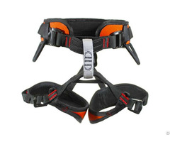 Climbing Harness