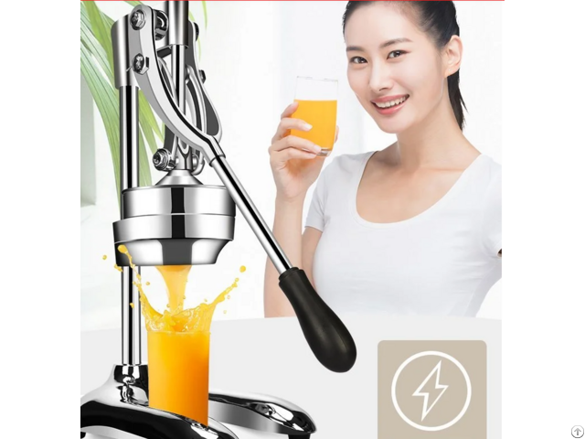 Fruit Squeezer