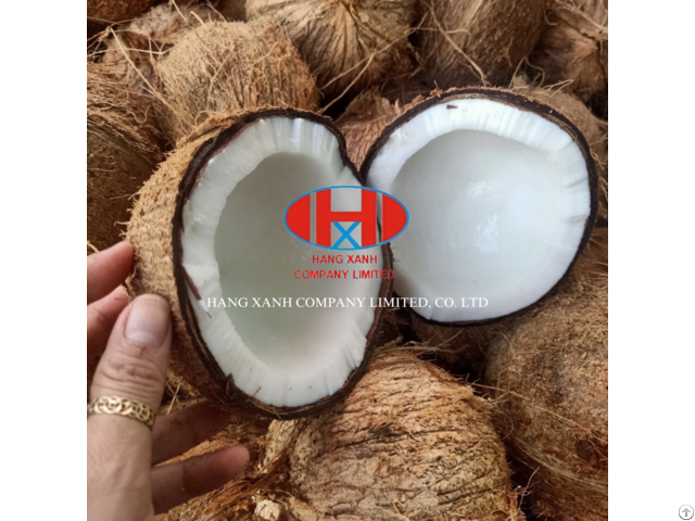 Vietnam Coconut Semi Husked