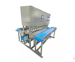 Mango Peeling Cutting Drying Processing Machine