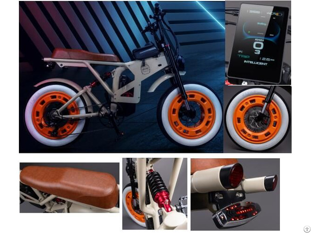 Electric Moutain Bike
