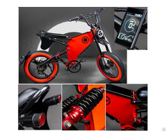 Electric Dirt Bike