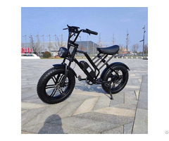 Electric Bicycle Rlsd 044