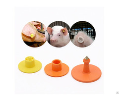 High Frequency Electronic Ear Tag