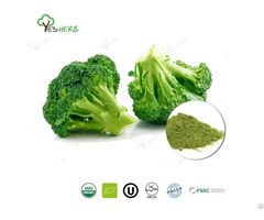 Broccoli Powder