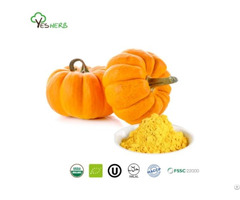 Pumpkin Powder Supplier