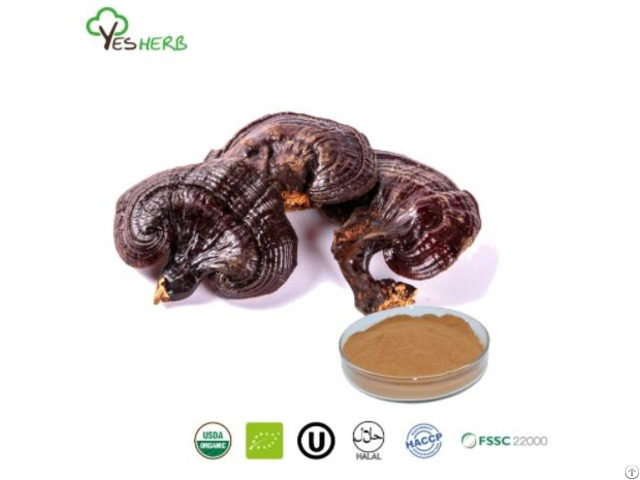 Reishi Extract