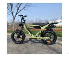 Ebike Model 2313