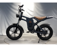 Ebike Model 2312