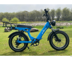 Ebike Model 2205