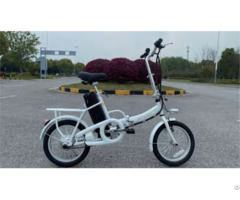 Ebike Model 308 5