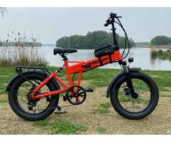 Ebike Model 2209