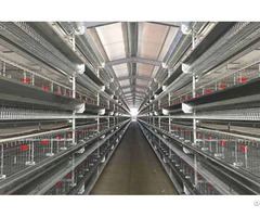 H Type Layer Battery Cage System