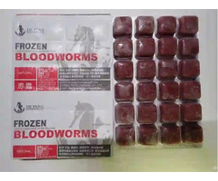 Frozen Bloodworms