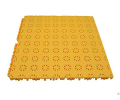 Shebs Floor