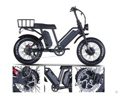 Electric Bike Rlsd 008 Dual Battery And Motor