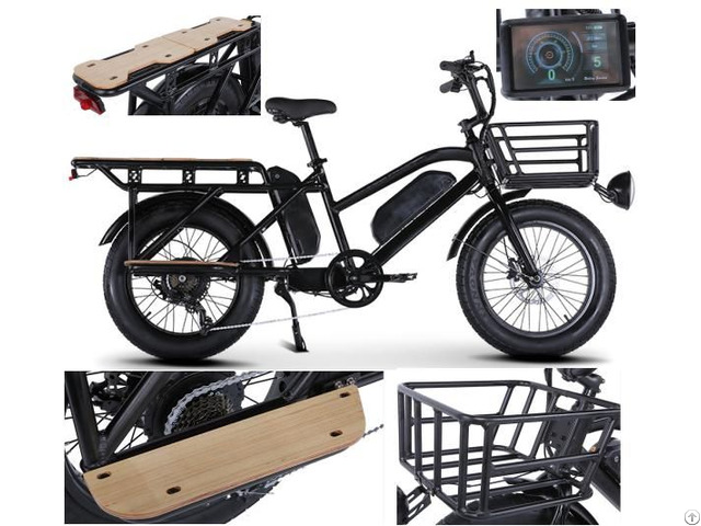 Electric Bicycle Rlsd 022 Dual Battery