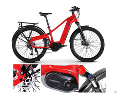 Electric Bicycle Rlsd 094