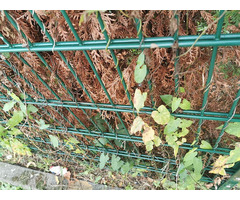 Double Wire Fence