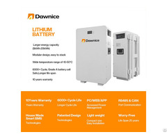 Dawnice 5kwh Wall Mounted Batteries