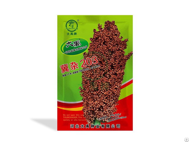 Sorghum For Sale
