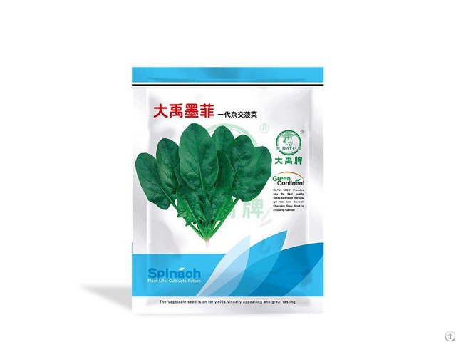 Chinese Spinach Seeds