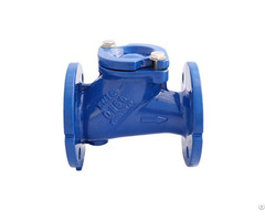 Cast Iron Ball Check Valve