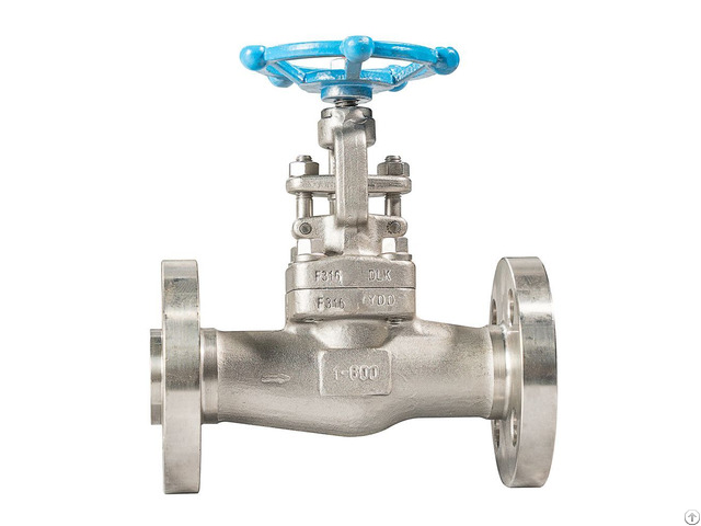Stainless Steal Flanged Globe Valve