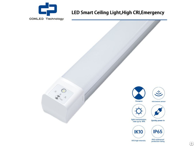 Led Smart Ceiling Light