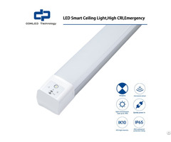 Led Smart Ceiling Light