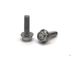 High Quality Stainless Steel Flange Bolt