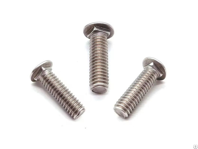 Stainless Steel Carriage Bolt