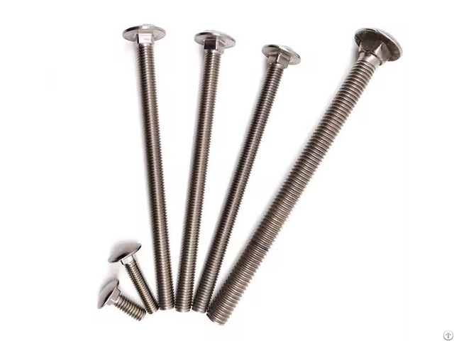 Din603 Stainless Steel Round Mushroom Head Square Neck Carriage Bolt