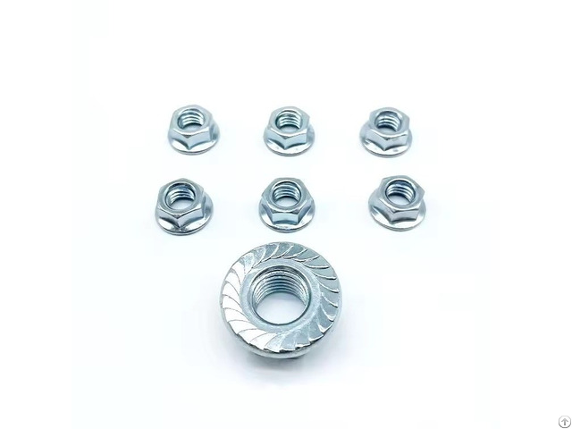 Hex Flange Nut