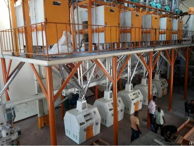 Steel Frame Maize Flour Mill Plant 50 80tpd