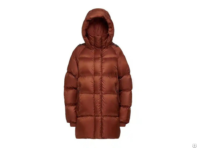 Women Fashion Metallic Down Jacket
