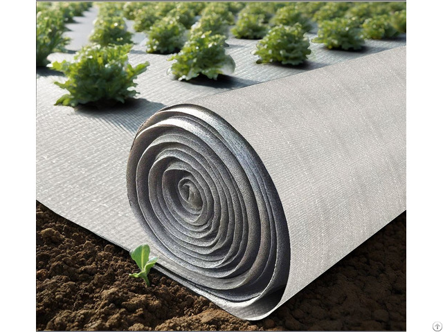 Agricultural Mulch Fabric