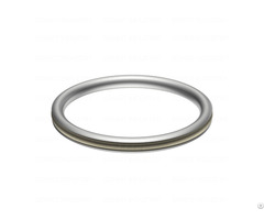 Spring Energized Metal Seal C Ring
