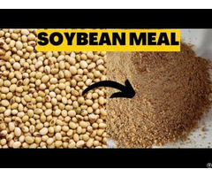 Premium Soybean Cake