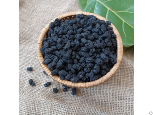 Freeze Dried Mulberry