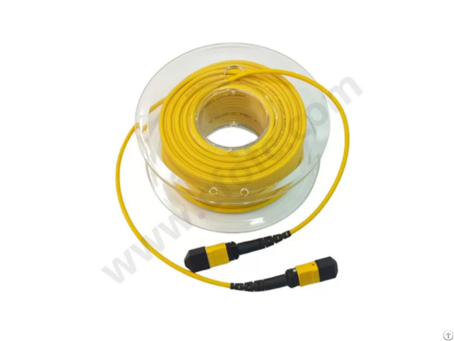8f Os2 Singlemode Mpo Mtp Trunk Cable